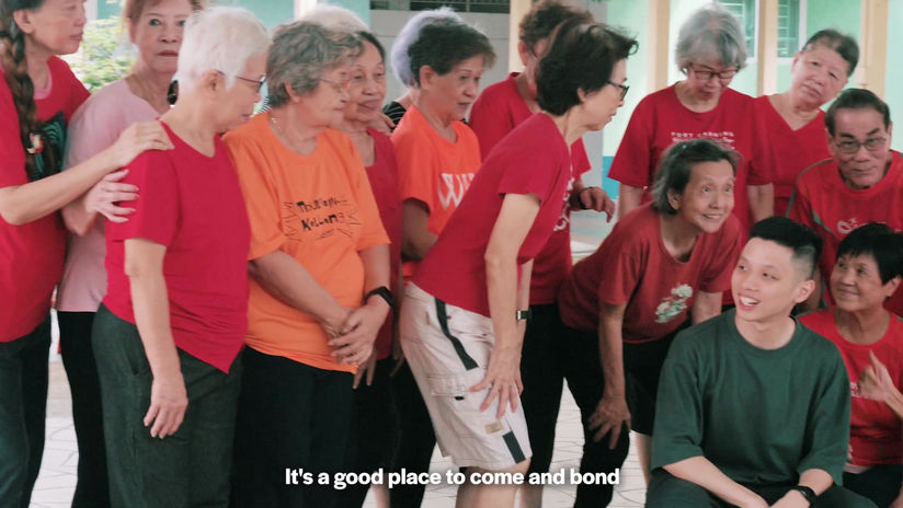 Lions Befrienders Promotional